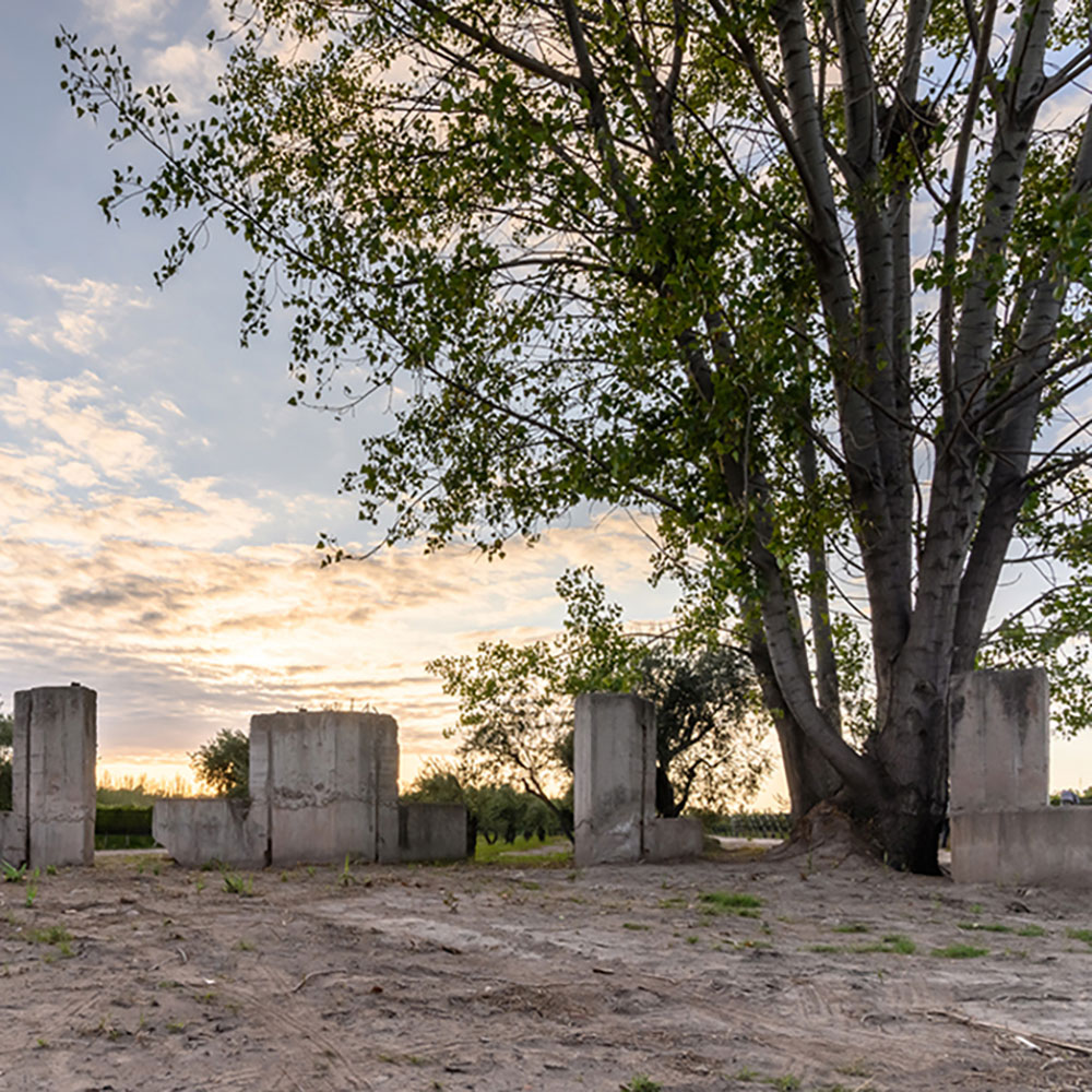 Línea Los Muros de Finca Bandini, vinos de bodega boutique Las Compuertas Luján de Cuyo Mendoza
