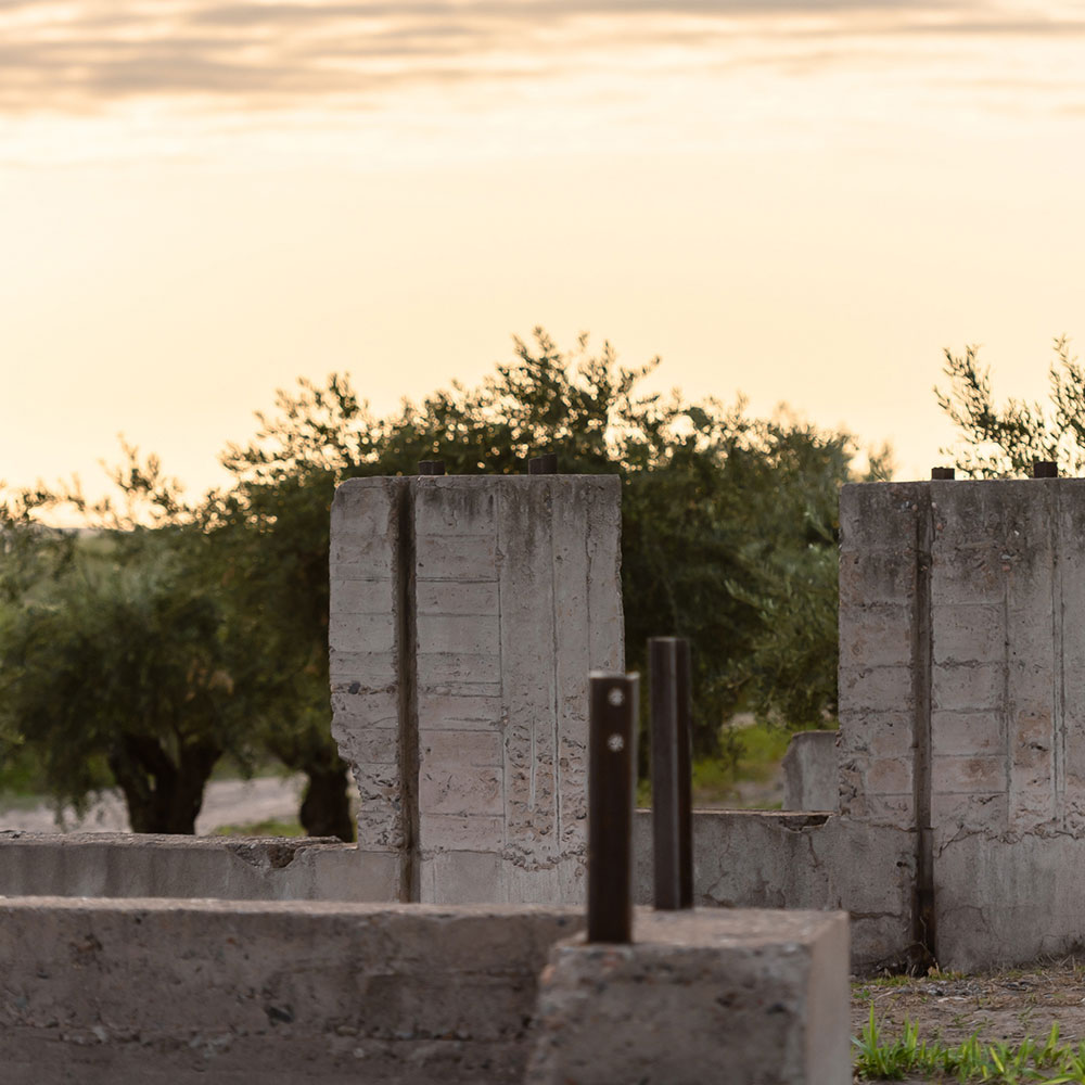 Línea Los Muros de Finca Bandini, vinos de bodega boutique Las Compuertas Luján de Cuyo Mendoza
