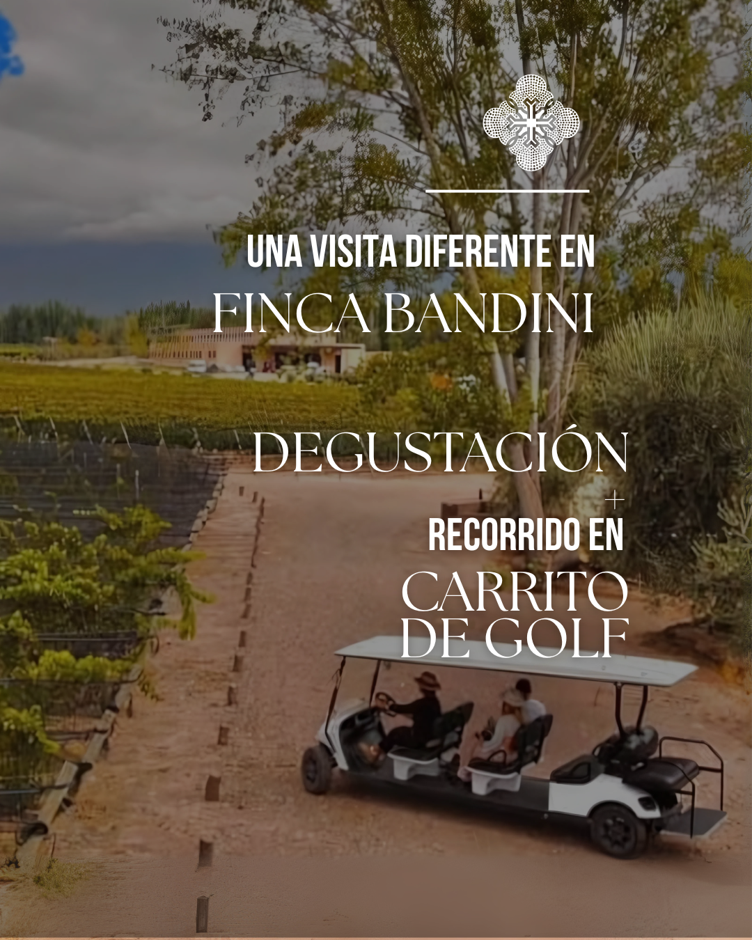 Tour en carrito de golf viñedos Finca Bandini Luján de Cuyo