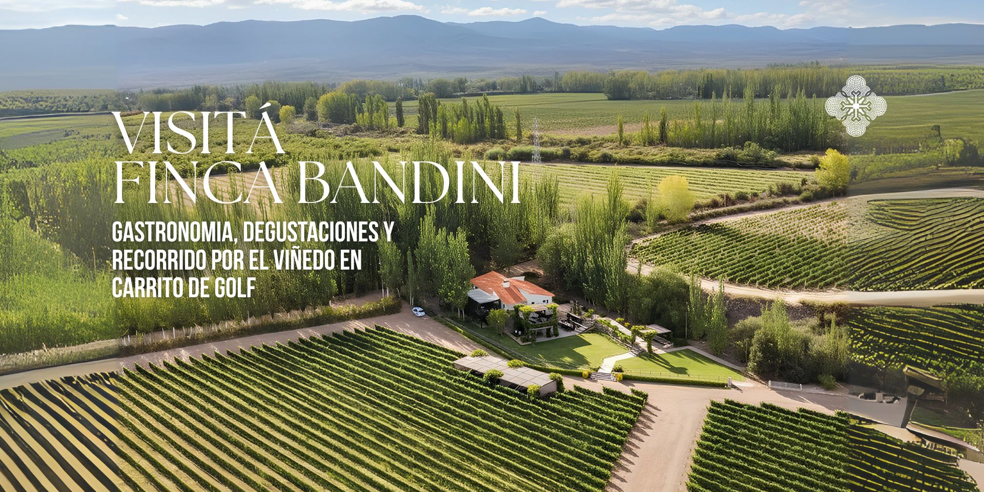 Viñedos de Finca Bandini con vista al Cordón del Plata, Las Compuertas, Luján de Cuyo, Mendoza