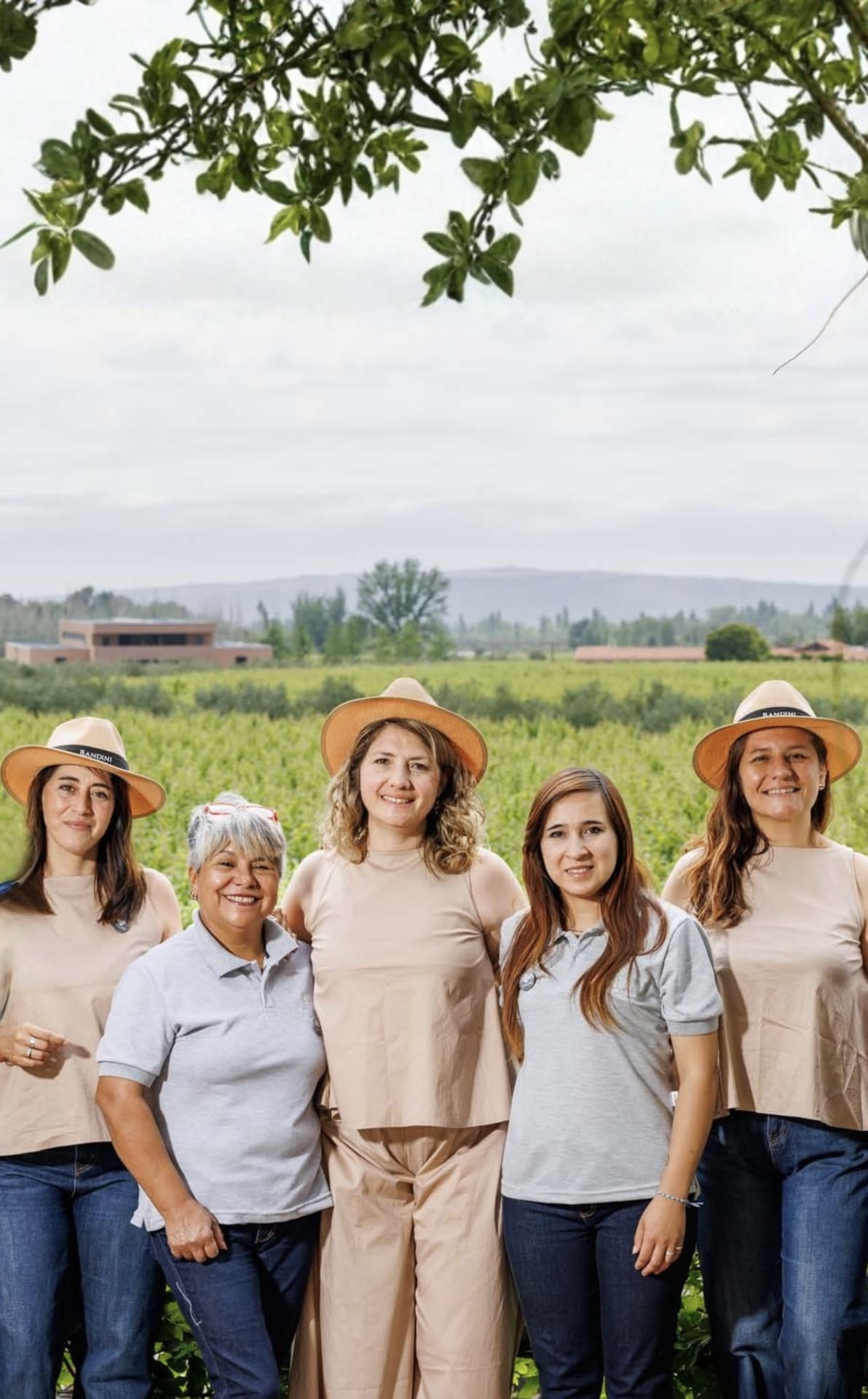 Visita a bodega en Finca Bandini, turismo enológico en Las Compuertas, Mendoza