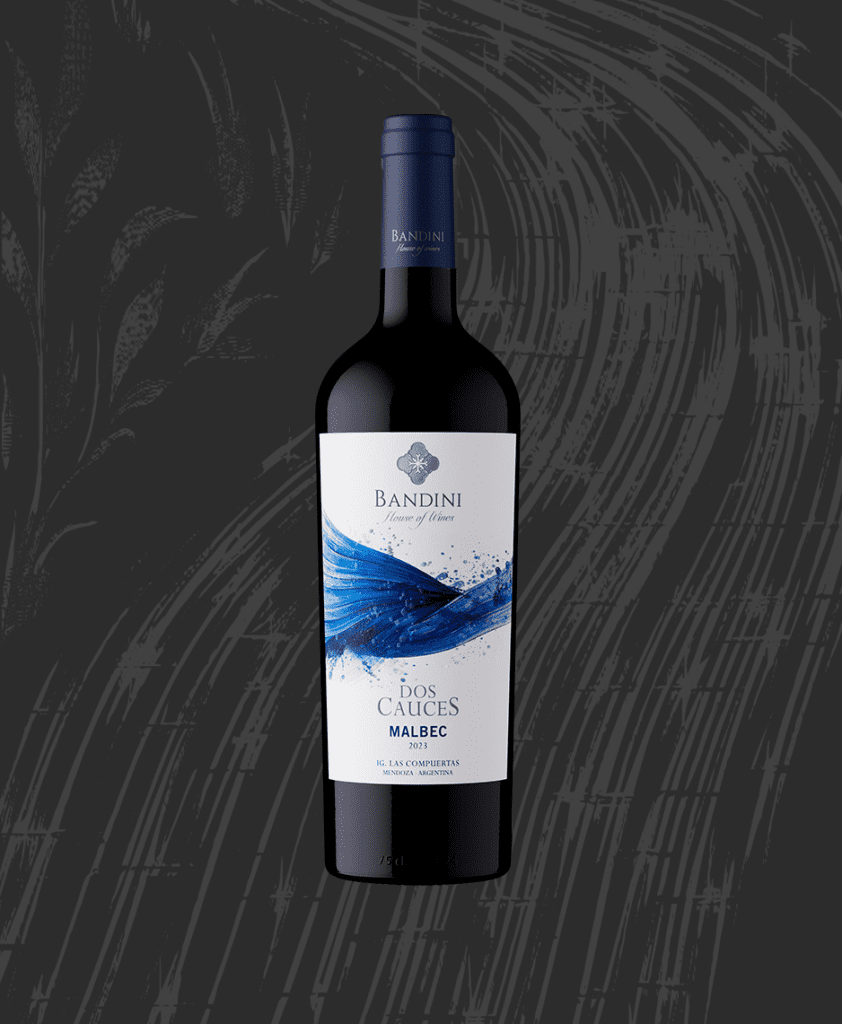 Ilustraciones_web_E3-03 Familia de vinos de Finca Bandini – Magno Corpore, Las Compuertas, Mendoza
