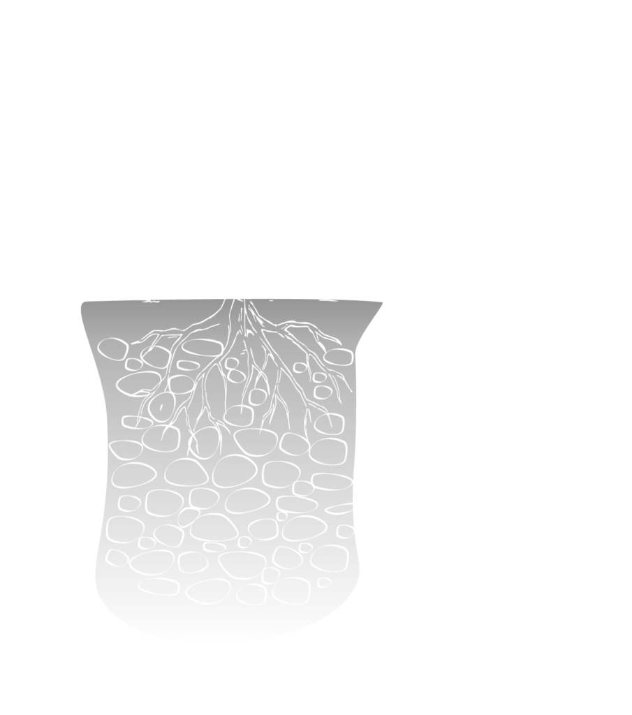 Perfil_Suelo Magno Corpore y Terroir Unico