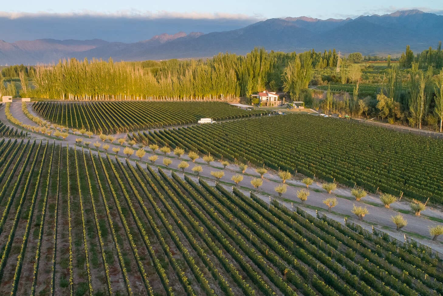 Visitas a bodega en Finca Bandini, Las Compuertas, Luján de Cuyo