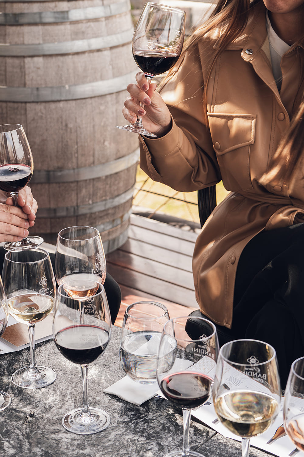 Degustación de vinos premium Finca Bandini bodega Mendoza