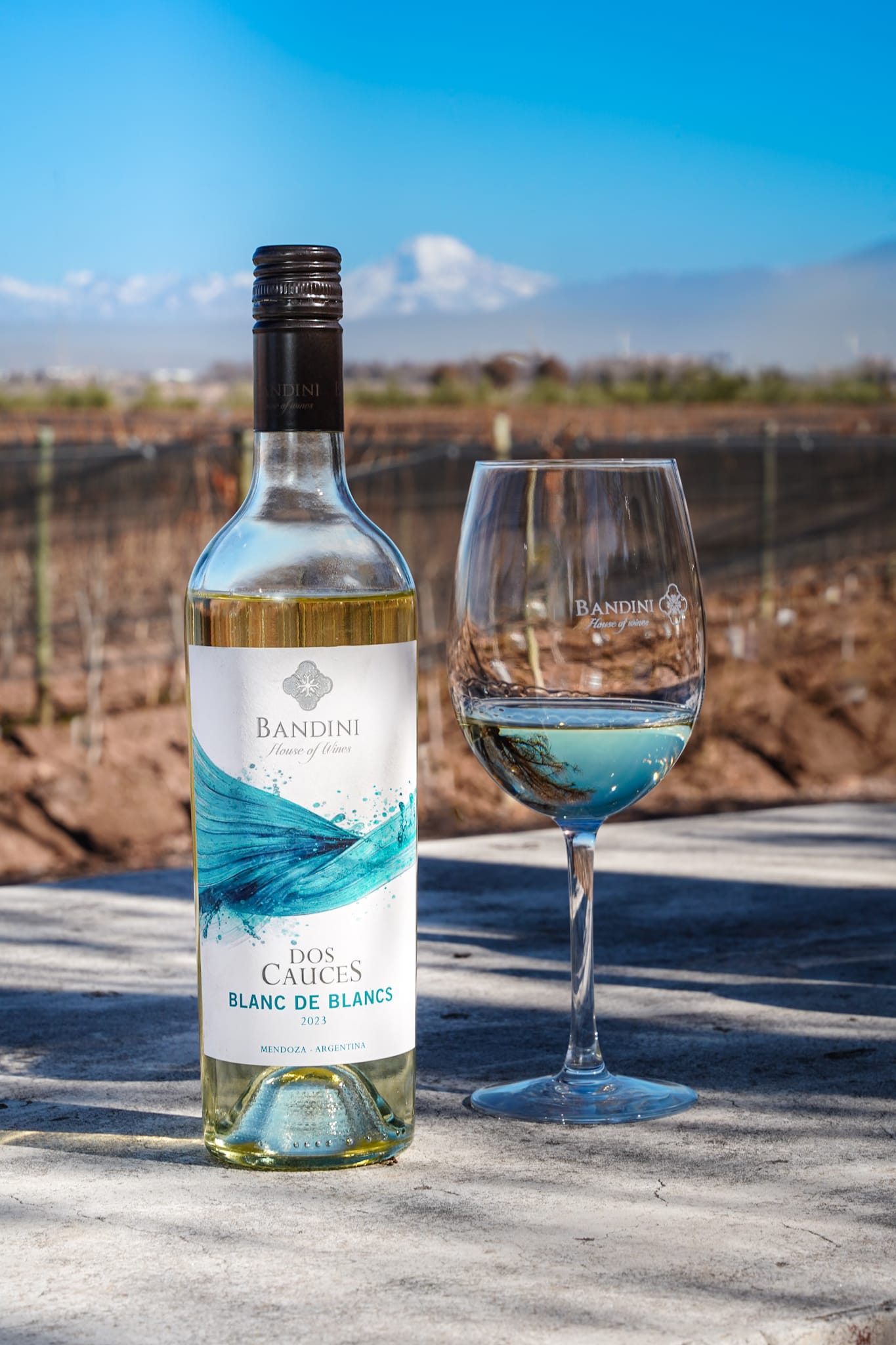Dos Cauces Malbec – vino tinto de Finca Bandini, Las Compuertas, Luján de Cuyo