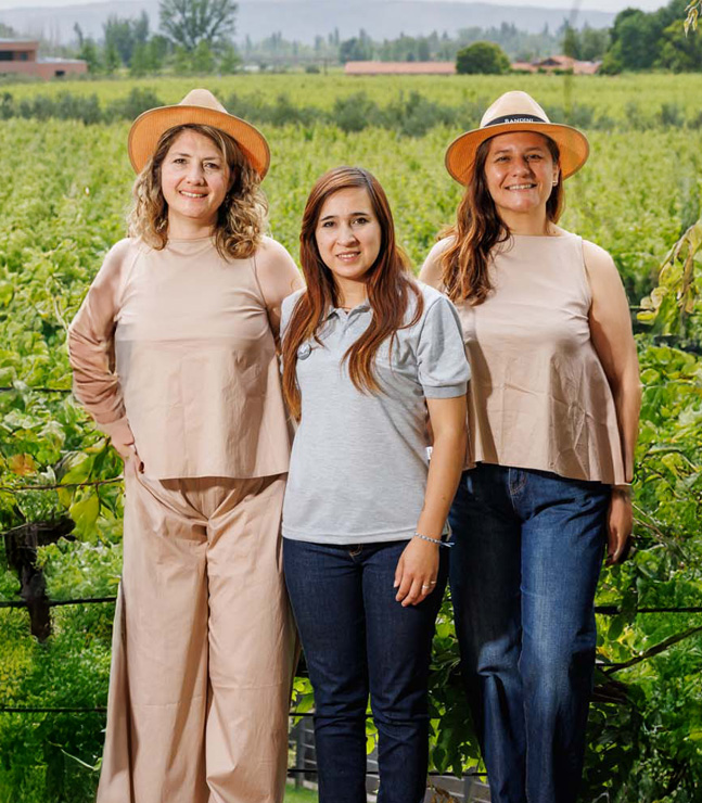 equipo finca bandini Equipo profesional de Finca Bandini House of Wines, bodega boutique en Las Compuertas, Luján de Cuyo, Mendoza