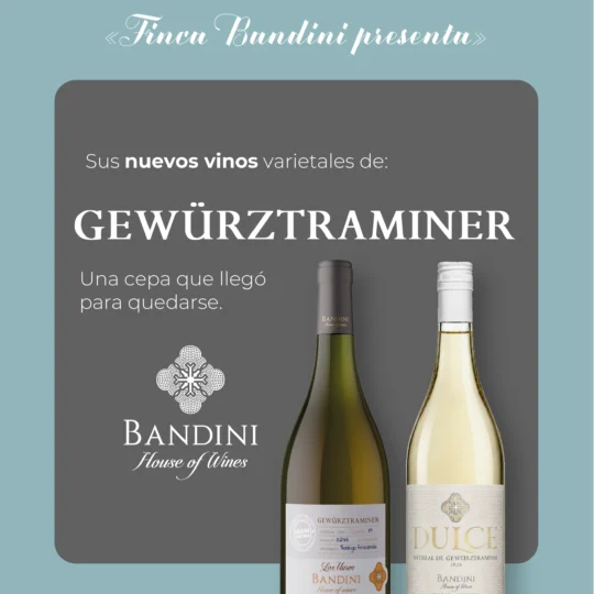 Los Muros Gewürztraminer y Dulce Natural de Finca Bandini