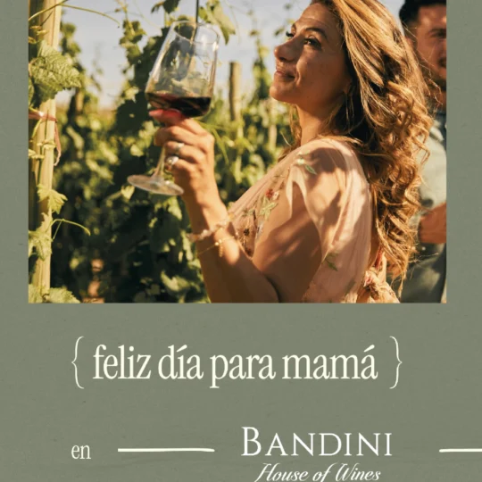 Día de la Madre en Finca Bandini, almuerzo con vista al viñedo
