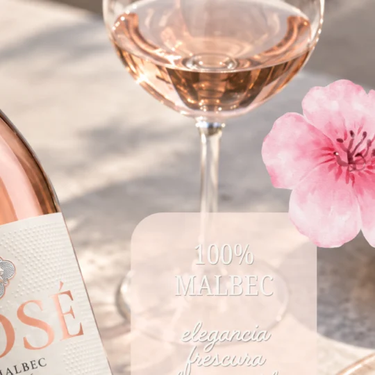 Rosé 100% Malbec de Finca Bandini