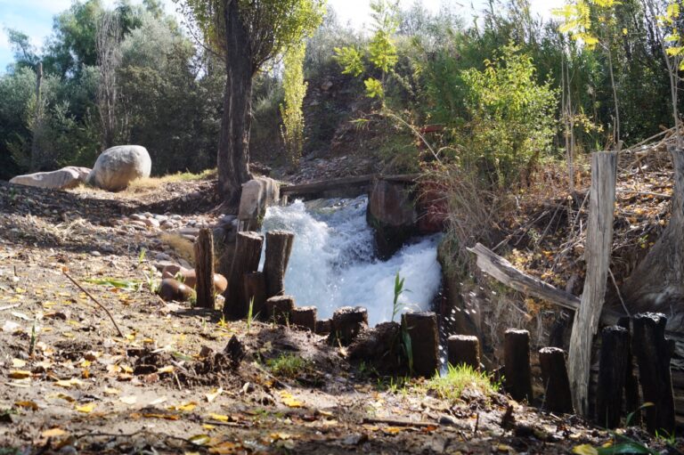 Viñedos de Finca Bandini en Las Compuertas con el Cordón del Plata de fondo