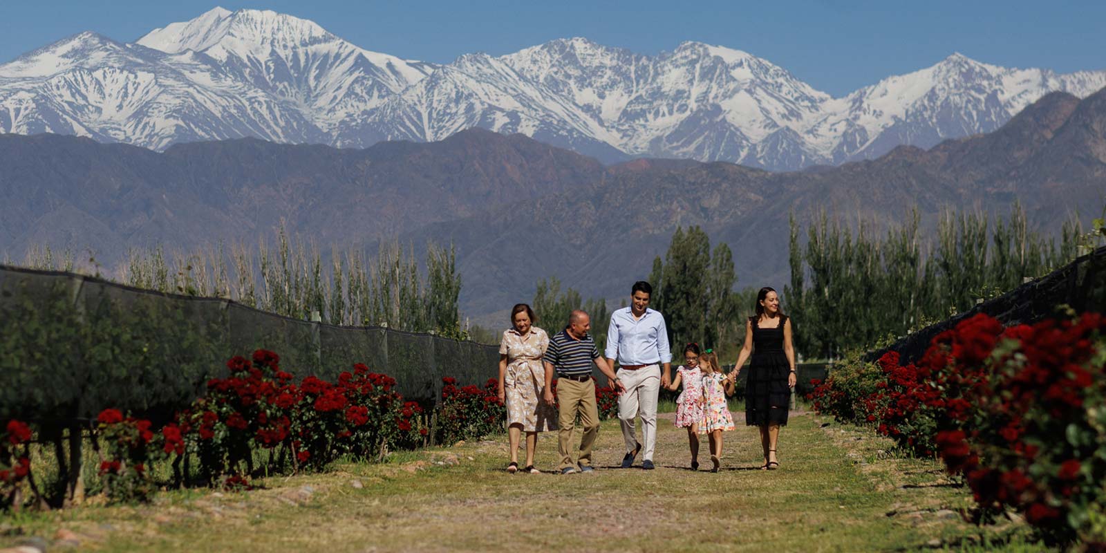 Ilustración Dos Cauces – Viñedos Finca Bandini, Mendoza
