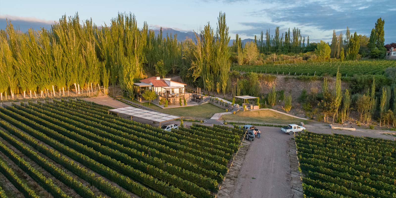 Ilustración Dos Cauces – Viñedos Finca Bandini, Mendoza