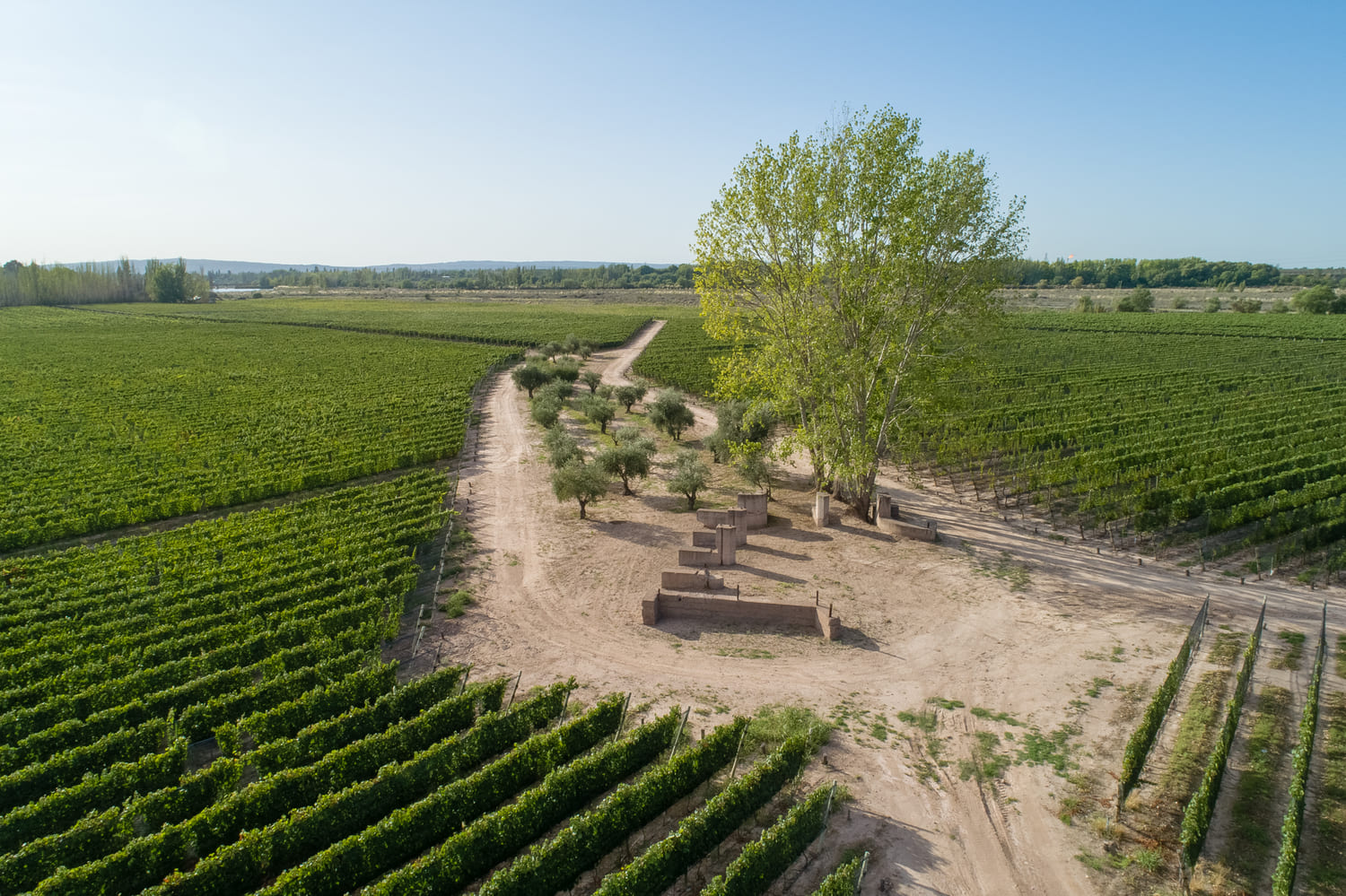Dos Cauces de Finca Bandini, Las Compuertas, Luján de Cuyo