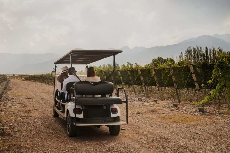 Recorrido en carrito de golf por los viñedos de Finca Bandini en Las Compuertas