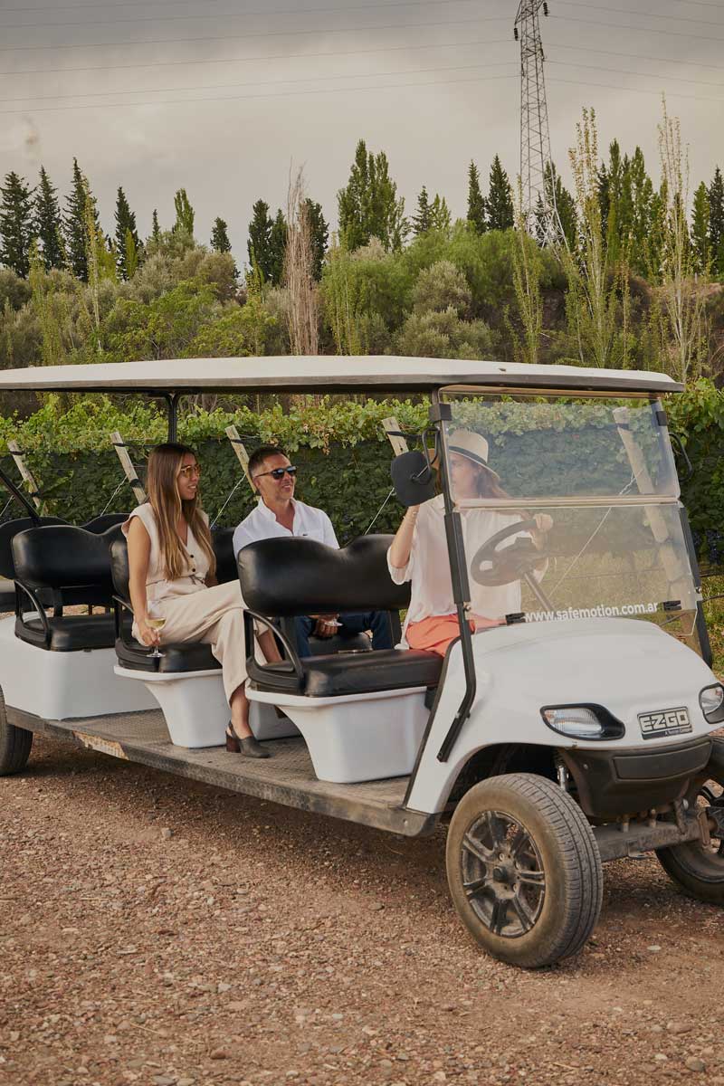 Visitas y degustaciones entre viñedos en Finca Bandini, Las Compuertas, Mendoza