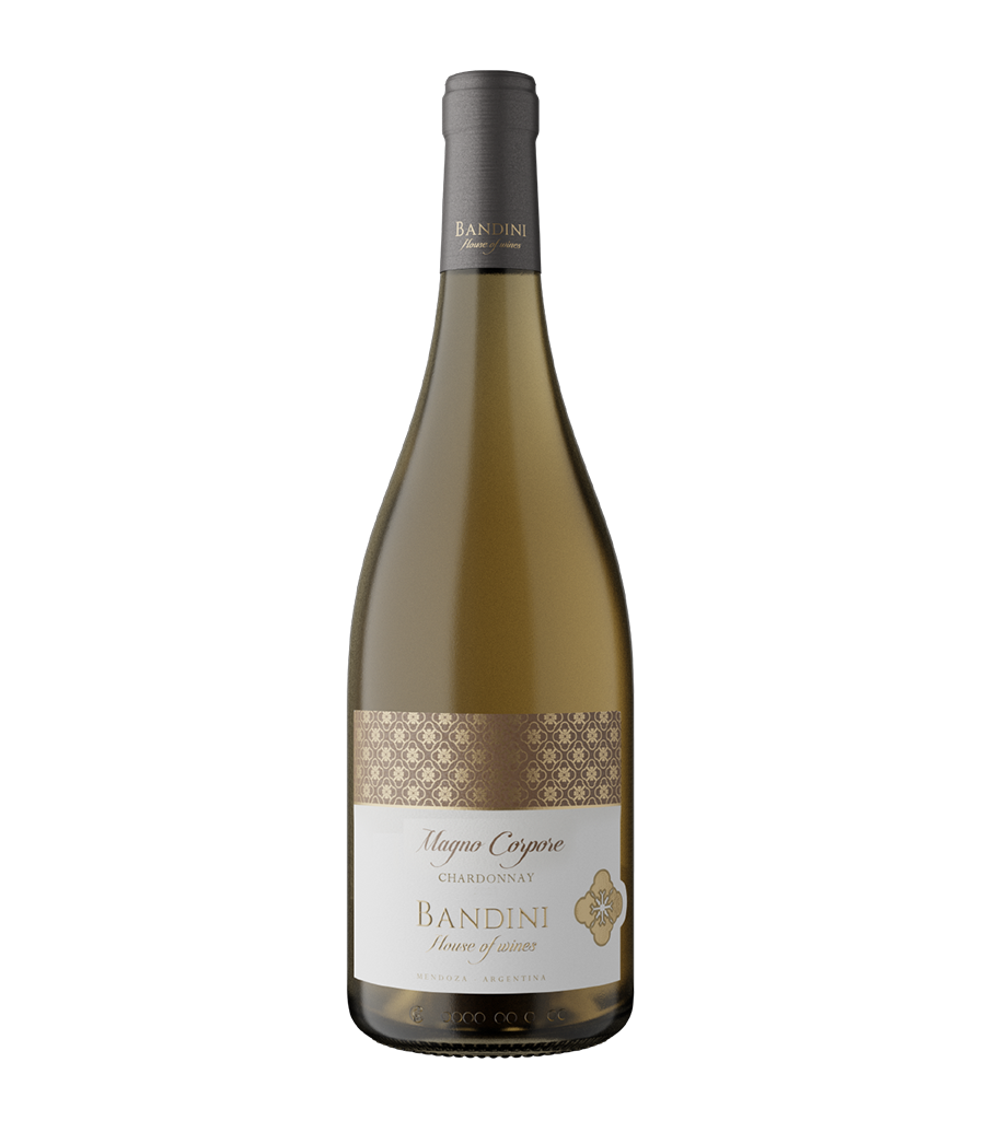 Magno Corpore Chardonnay de Finca Bandini, vino blanco premium bodega boutique Las Compuertas Mendoza