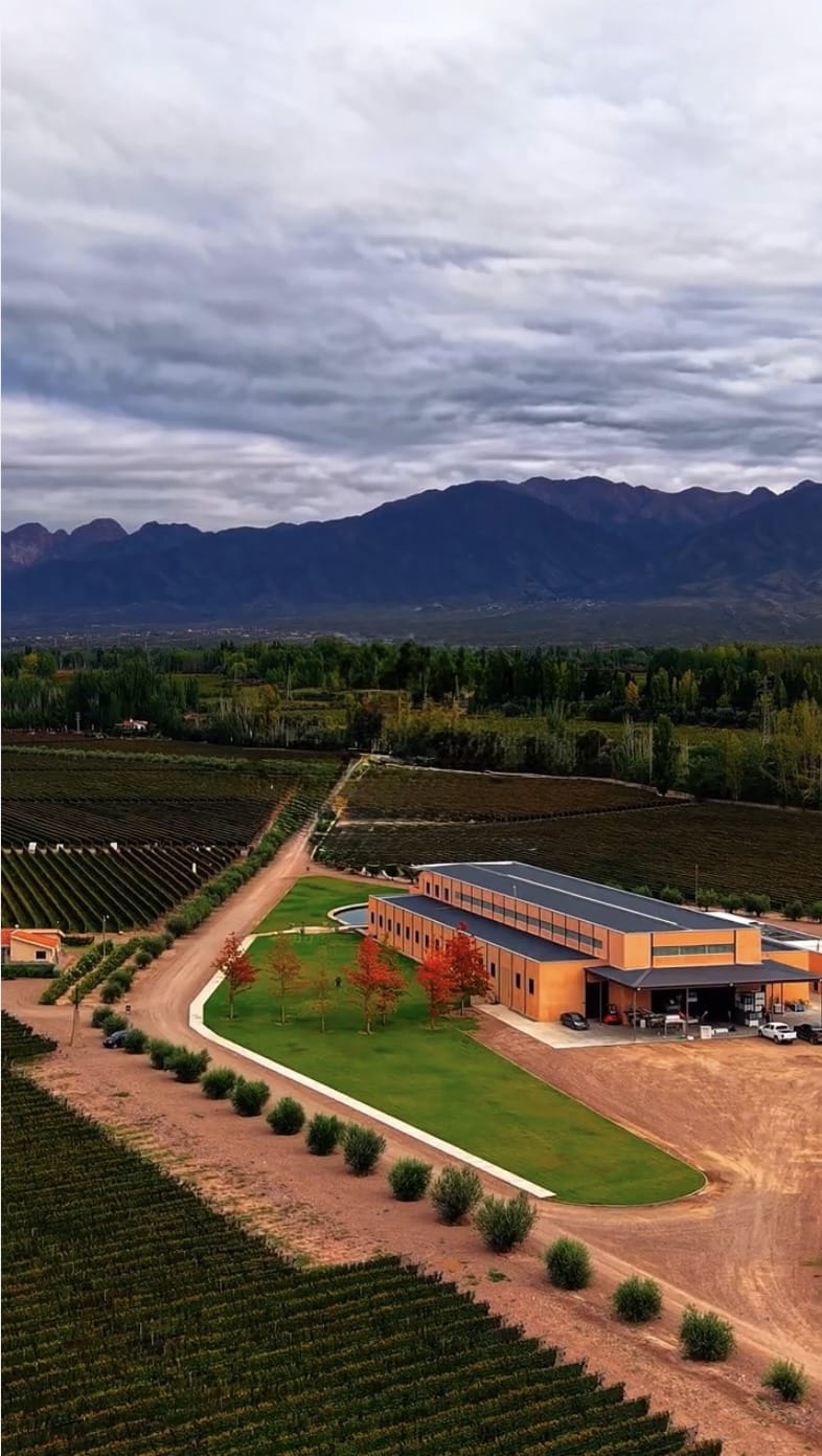 Evento Sunset Malbec en Finca Bandini, atardecer entre viñedos en Las Compuertas, Mendoza