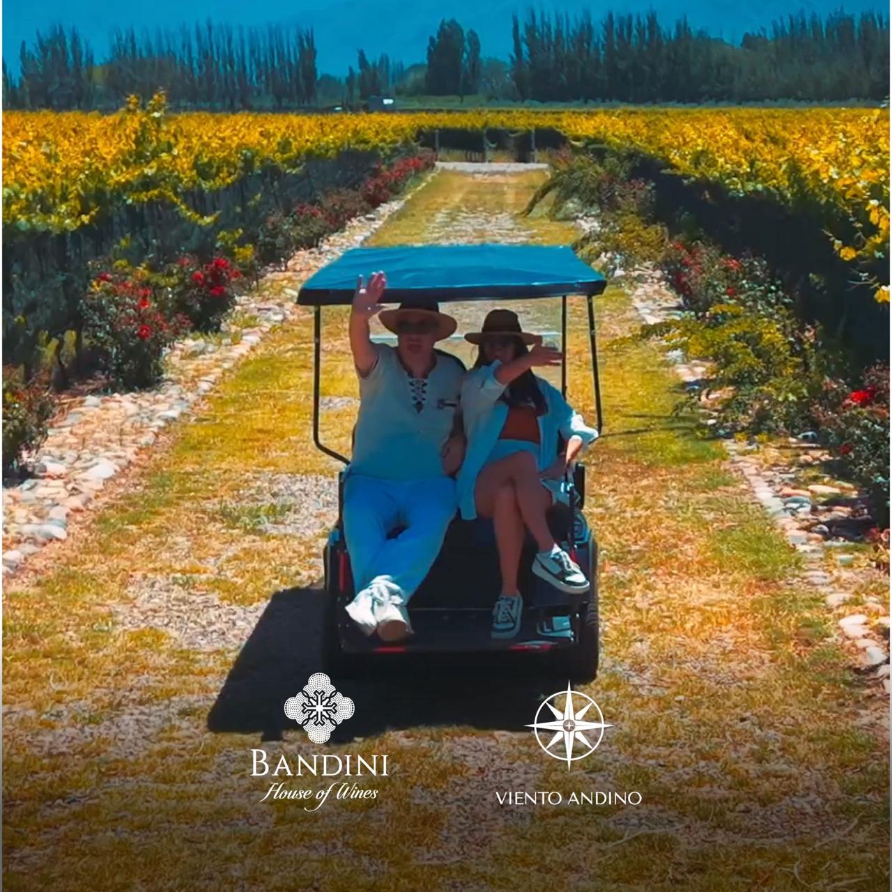 Tour viñedos históricos Finca Bandini Las Compuertas