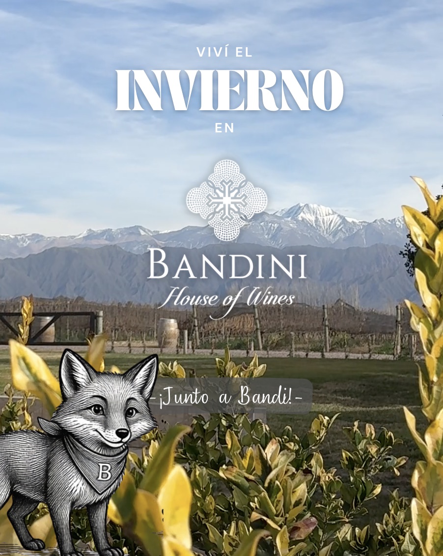 Invierno en Finca Bandini viñedos Mendoza Bandi zorrito