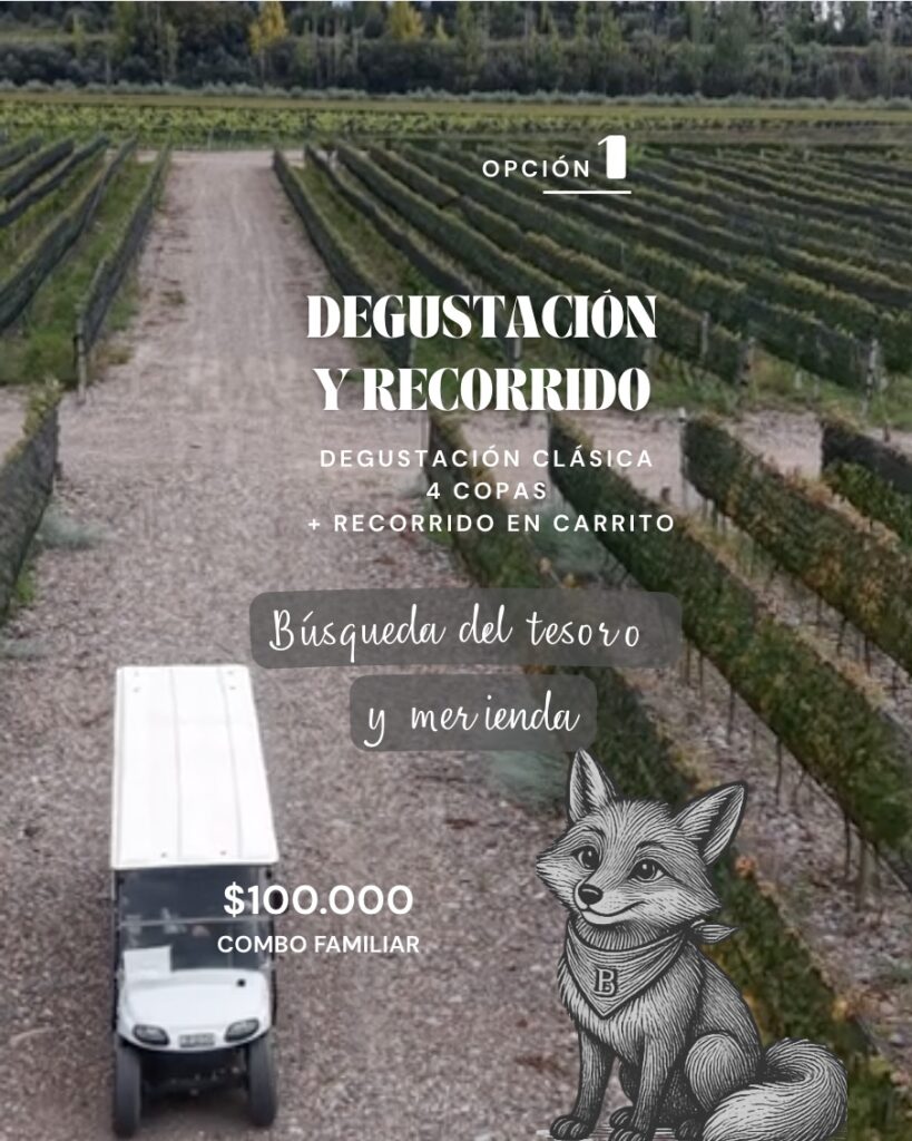 Degustación guiada de 4 copas con recorrido en carrito por los viñedos de Finca Bandini, Las Compuertas, Luján de Cuyo