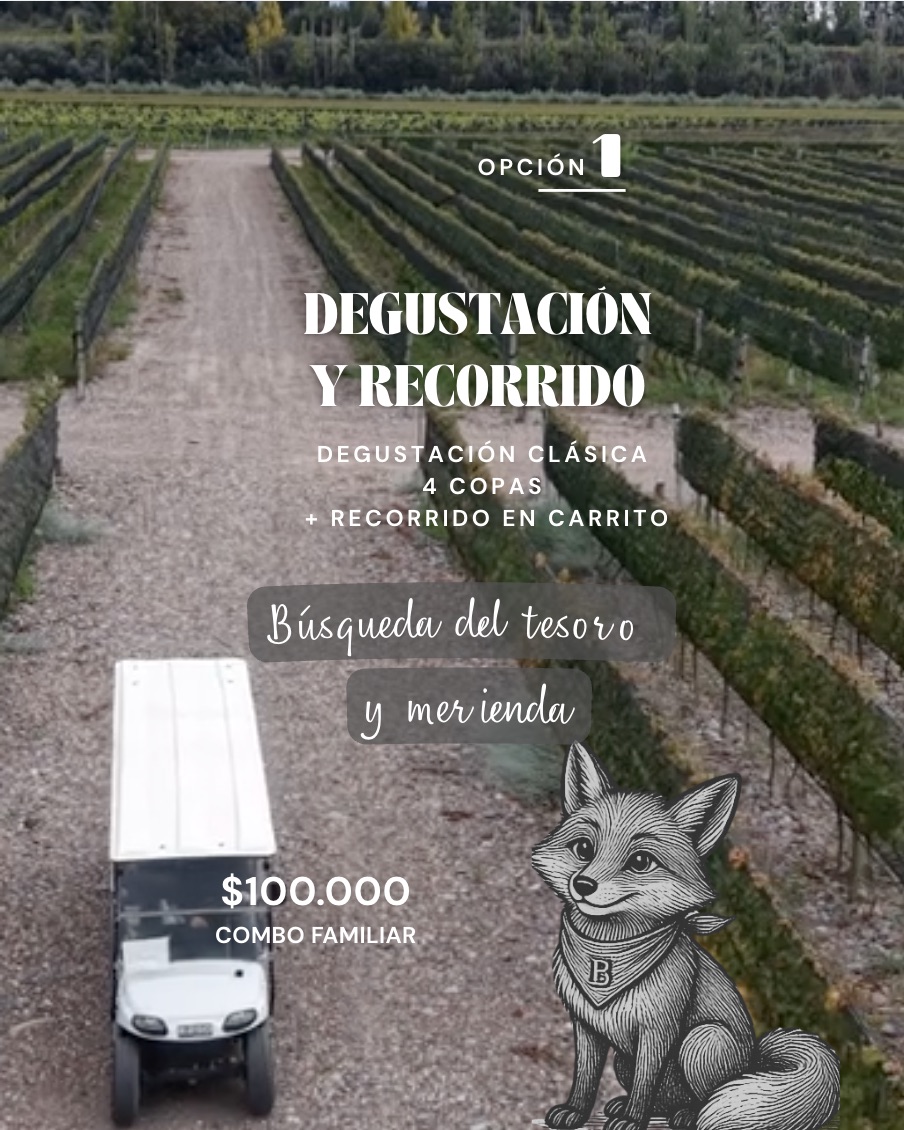 Degustación y recorrido carrito viñedos Finca Bandini invierno